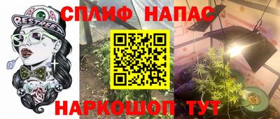 сатива Бузулук